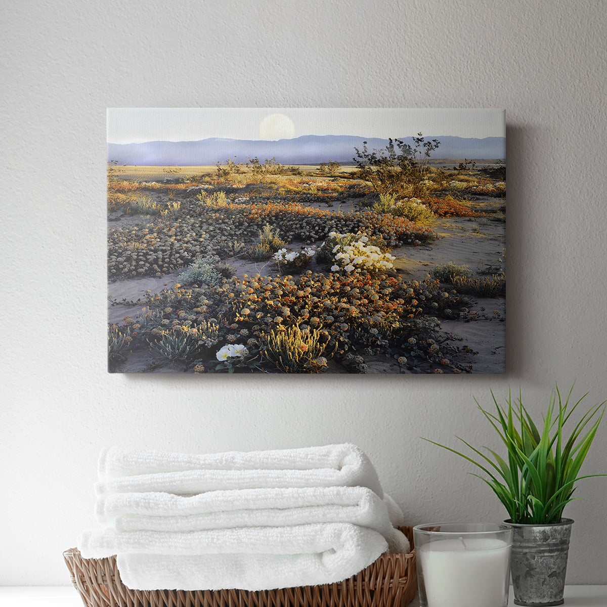 Anza Borrego Desert - Canvas Art Print