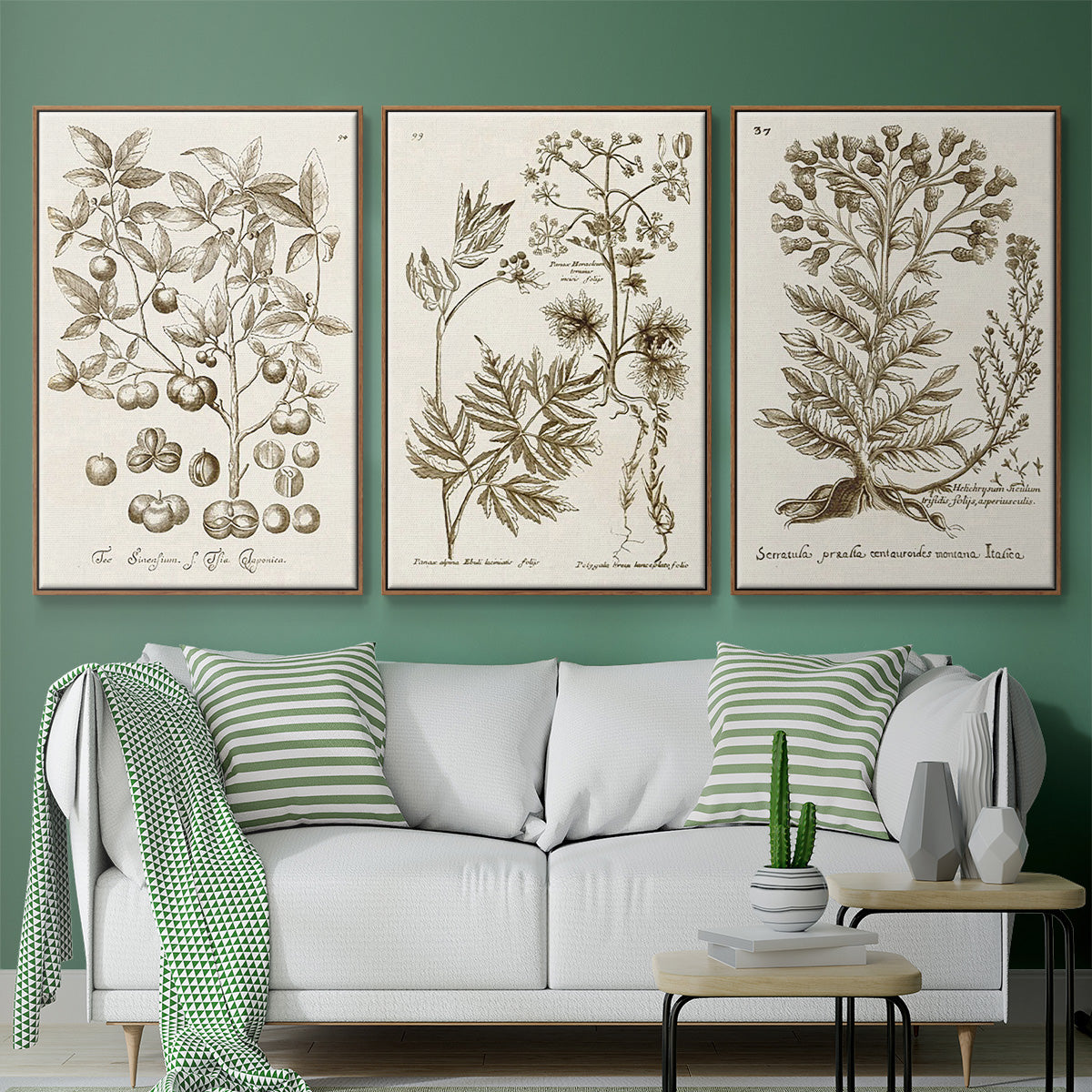 Sepia Botanical Journal I - Framed Premium Gallery Wrapped Canvas L Frame 3 Piece Set - Ready to Hang