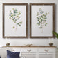 Eucalyptus I   - Premium Framed Canvas 2 Piece Set - Ready to Hang