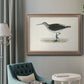 Morris Sandpipers VI Premium Framed Canvas- Ready to Hang