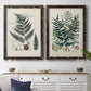 Set of two black barnwood framed canvas prints depicting a coordinated art pair of vintage fern specimens with botanical details rendered as natural-history fern plates above a dining room sideboard.