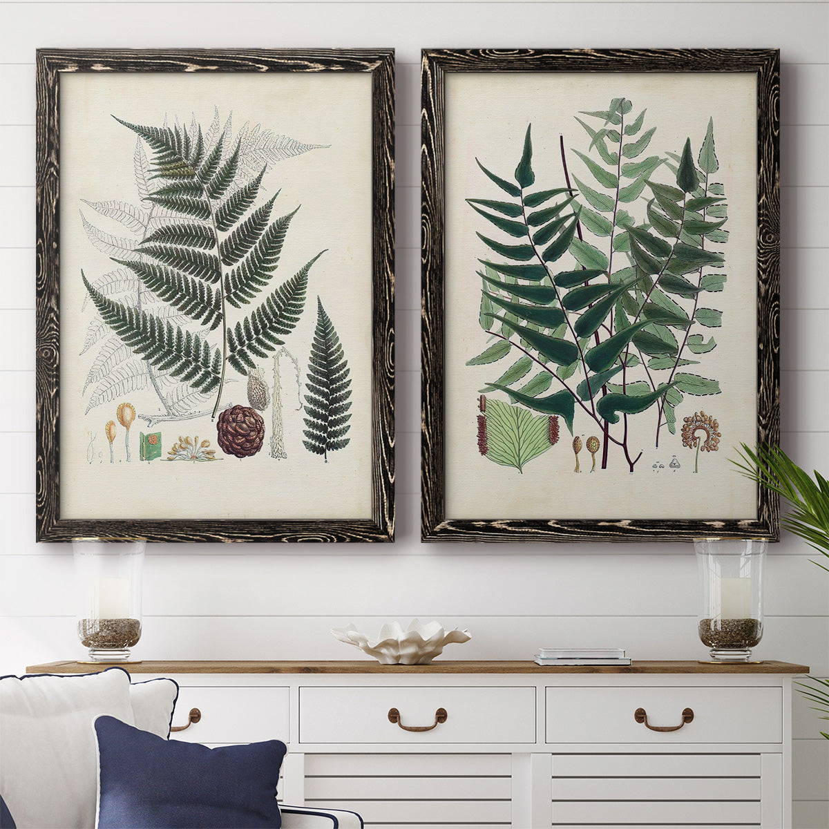 Set of two black barnwood framed canvas prints depicting a coordinated art pair of vintage fern specimens with botanical details rendered as natural-history fern plates above a dining room sideboard.