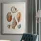 Knorr Shells & Coral I - Modern Framed Canvas Print