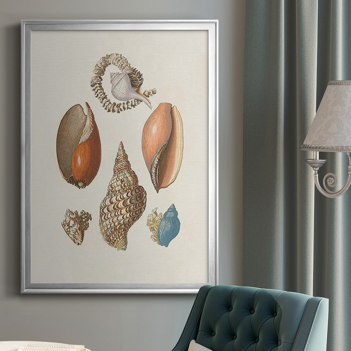 Knorr Shells & Coral I - Modern Framed Canvas Print
