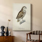 French Owls I - Canvas Art Print