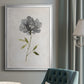 Botanical Beauty I - Modern Framed Canvas Print