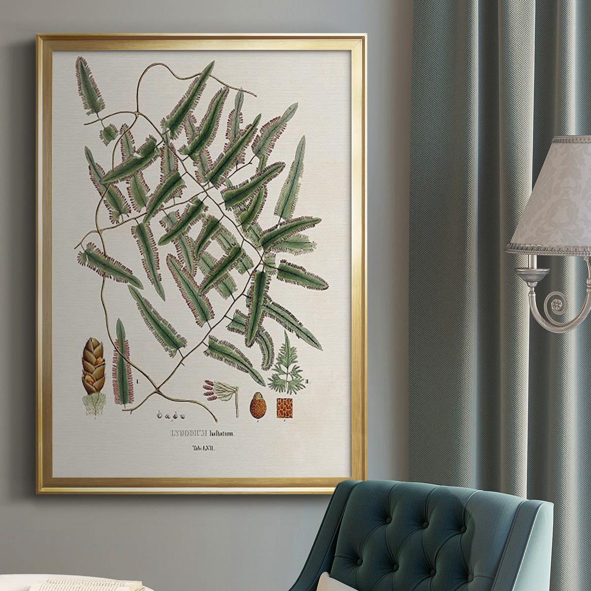 Botanical Society Ferns X - Modern Framed Canvas Print