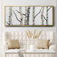 Birch Trees II - Floater Framed Canvas Print