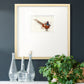 Pheasant Splash 7 Premium Framed Print Double Matboard