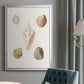 Pastel Knorr Shells IX - Modern Framed Canvas Print