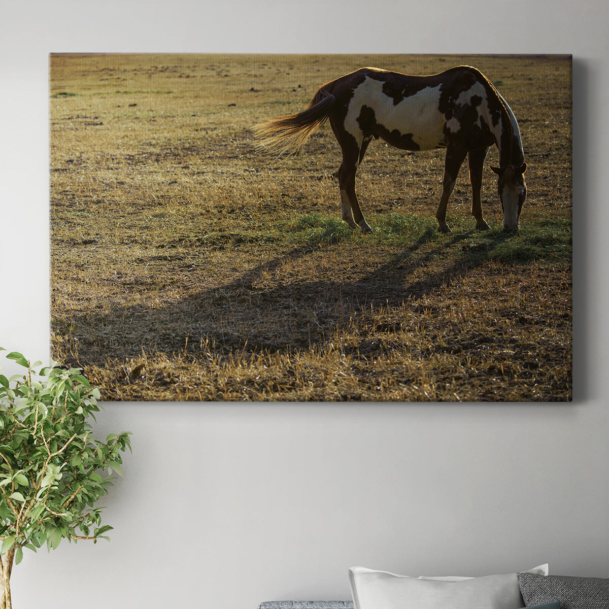 Long Shadow Premium Gallery Wrapped Canvas - Ready to Hang