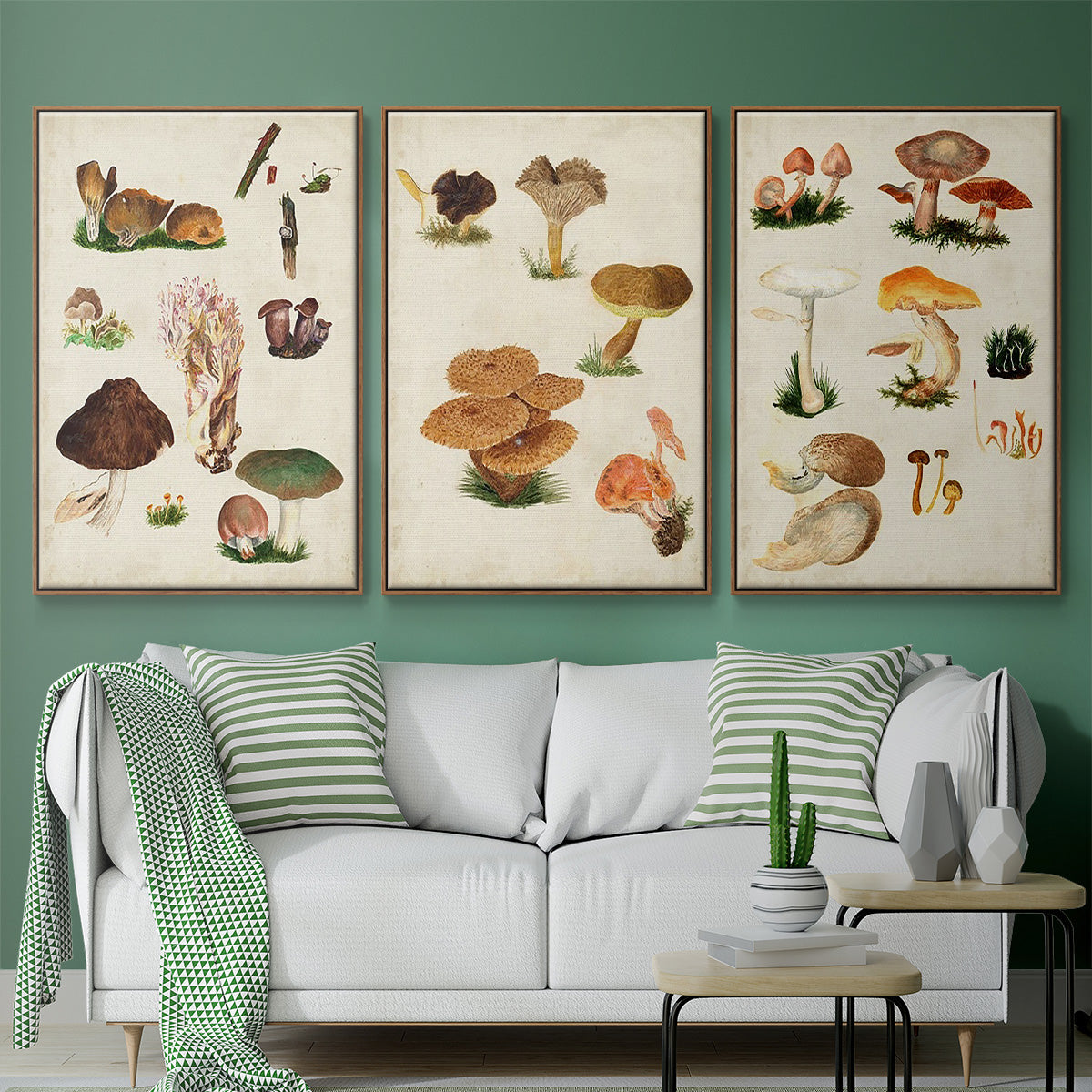 Mushroom Species IV - Framed Premium Gallery Wrapped Canvas L Frame 3 Piece Set - Ready to Hang