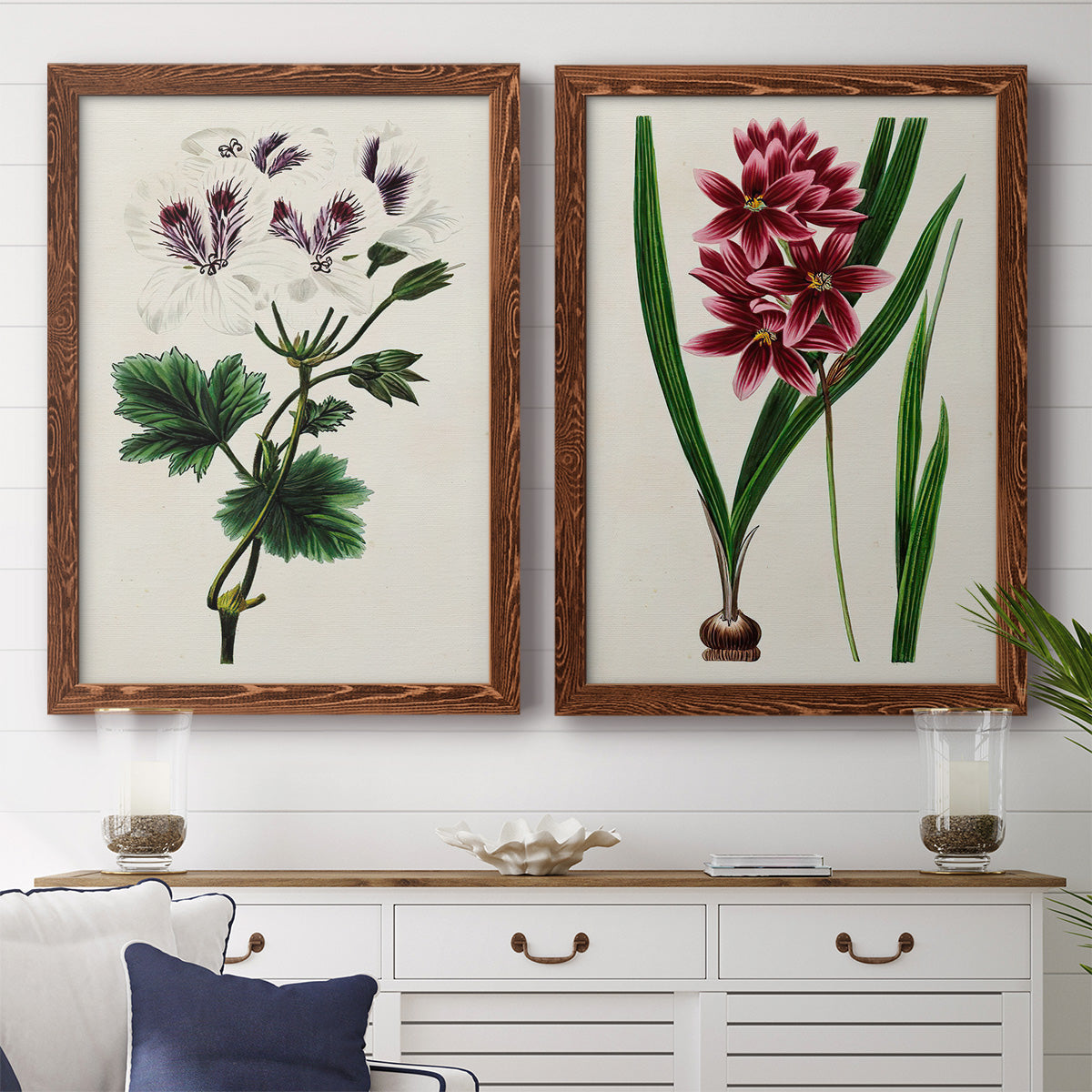Set of two maple barnwood framed canvas prints depicting a coordinated art pair of colorful flowering plant specimens rendered as antique botanical plate illustrations above a dining room sideboard.