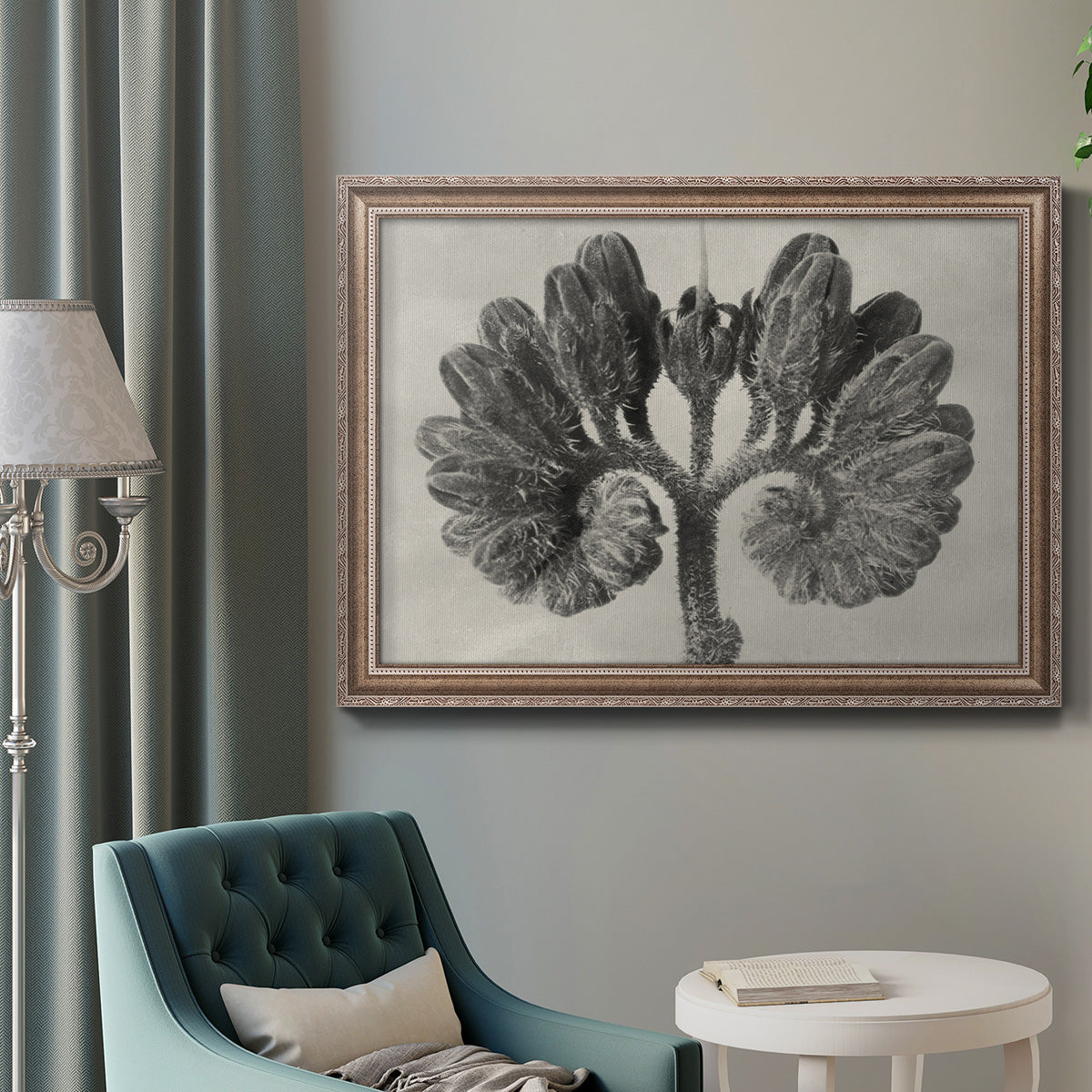 Blossfeldt Botanical VIII Premium Framed Canvas- Ready to Hang