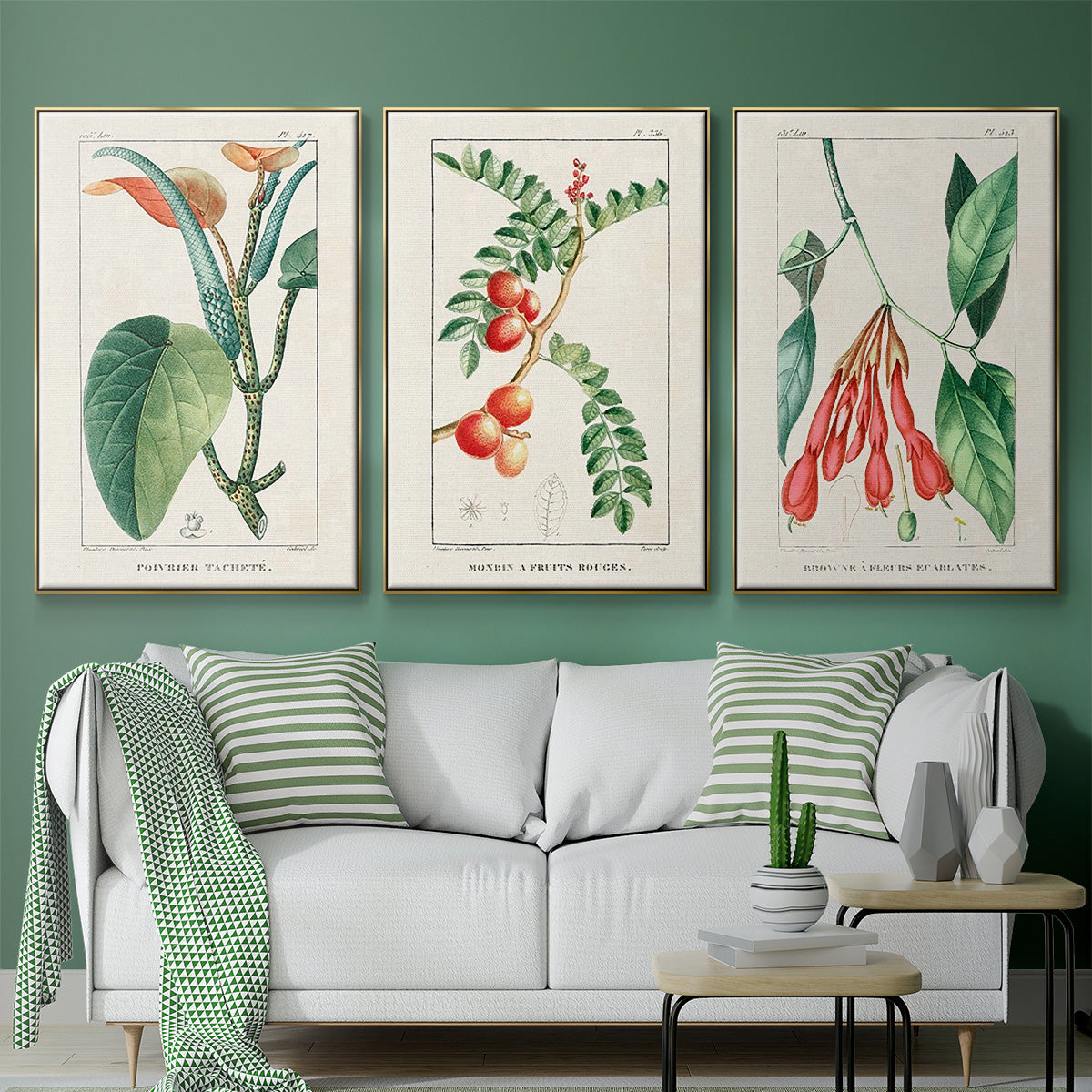 Turpin Tropical Botanicals I - Floater Framed Canvas Set