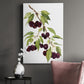 Watercolor Cherries Premium Gallery Wrapped Canvas - Ready to Hang