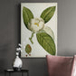 Antique Flowering Trees II Premium Gallery Wrapped Canvas - Ready to Hang