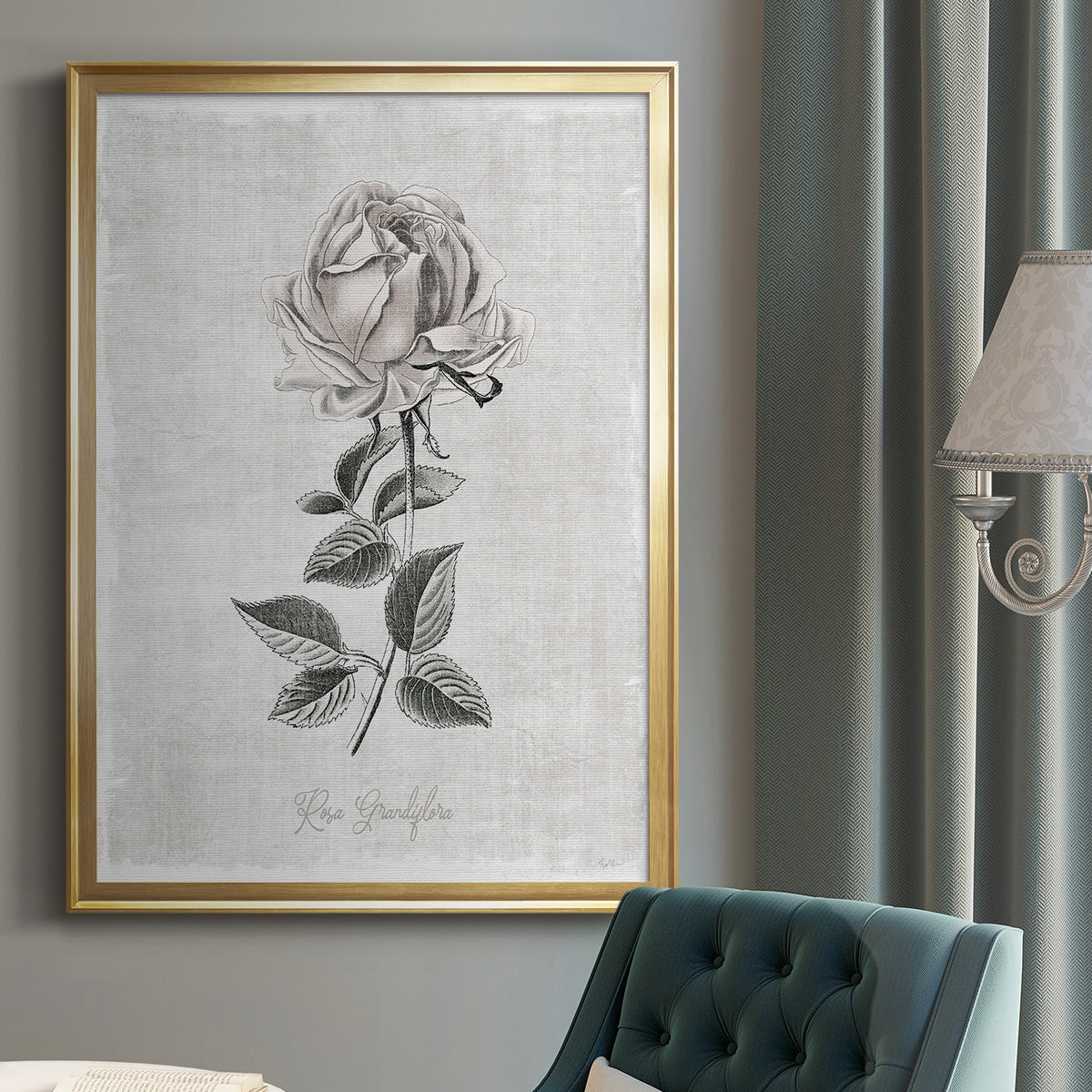 Vintage Botanical II - Modern Framed Canvas Print