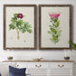 Set of two walnut barnwood framed canvas prints depicting a coordinated art pair of pink flowering plant specimens rendered as vintage botanical plate illustrations above a dining room sideboard.