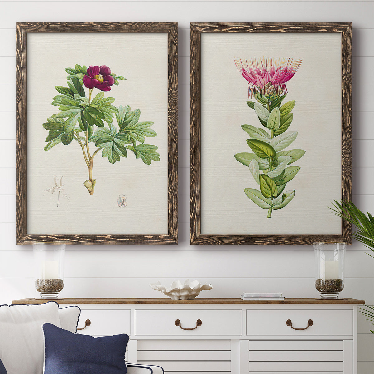 Set of two walnut barnwood framed canvas prints depicting a coordinated art pair of pink flowering plant specimens rendered as vintage botanical plate illustrations above a dining room sideboard.