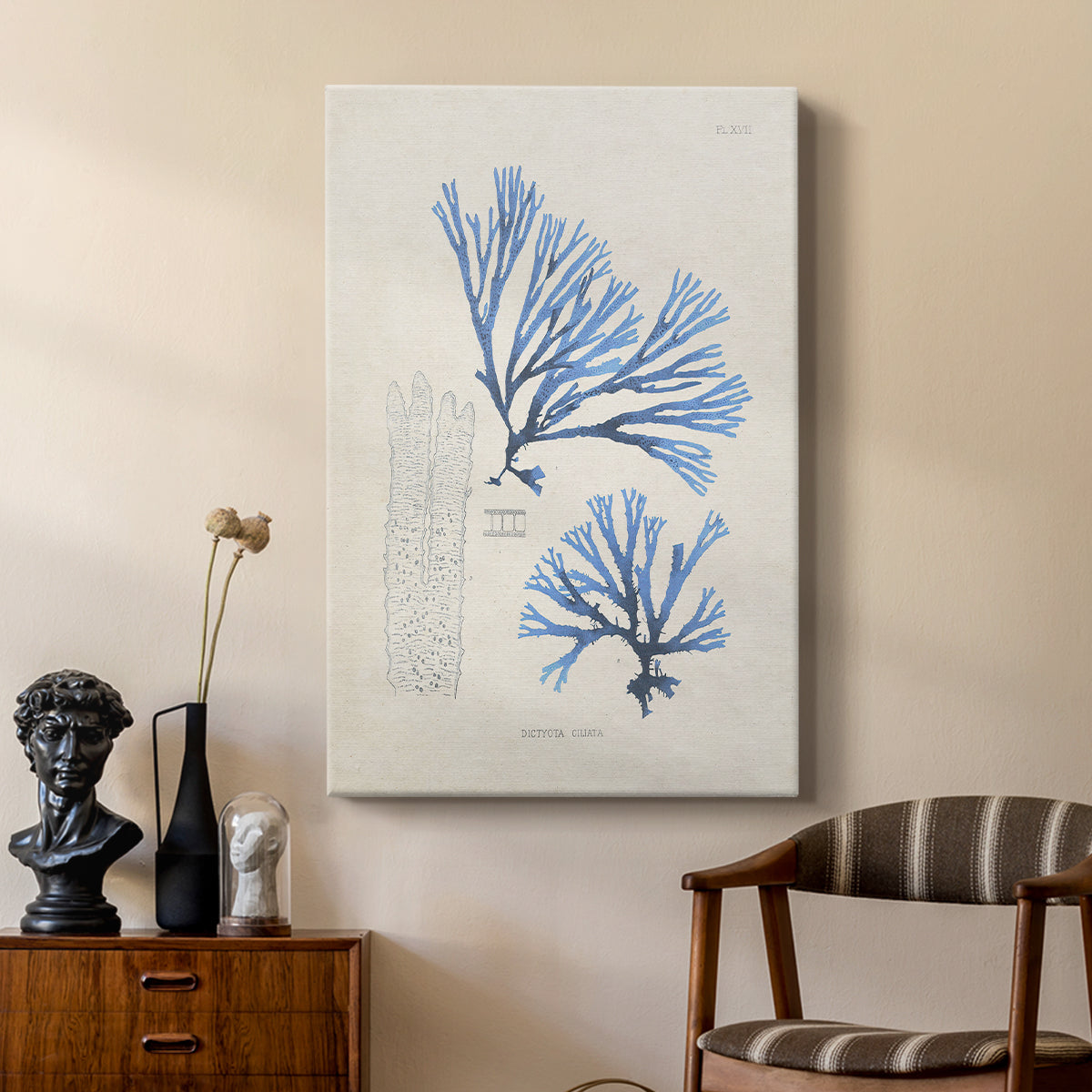 Blue Marine Algae V - Canvas Art Print