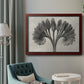 Vintage botanical plant study photograph by Karl Blossfeldt in an ornate cherry burl wood frame displayed in a neutral interior setting.
