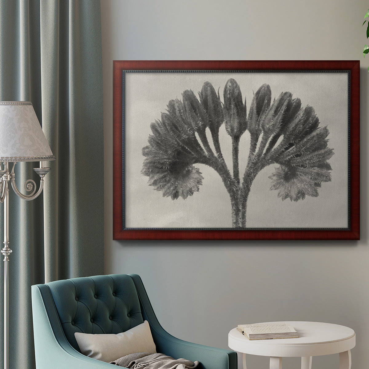 Vintage botanical plant study photograph by Karl Blossfeldt in an ornate cherry burl wood frame displayed in a neutral interior setting.
