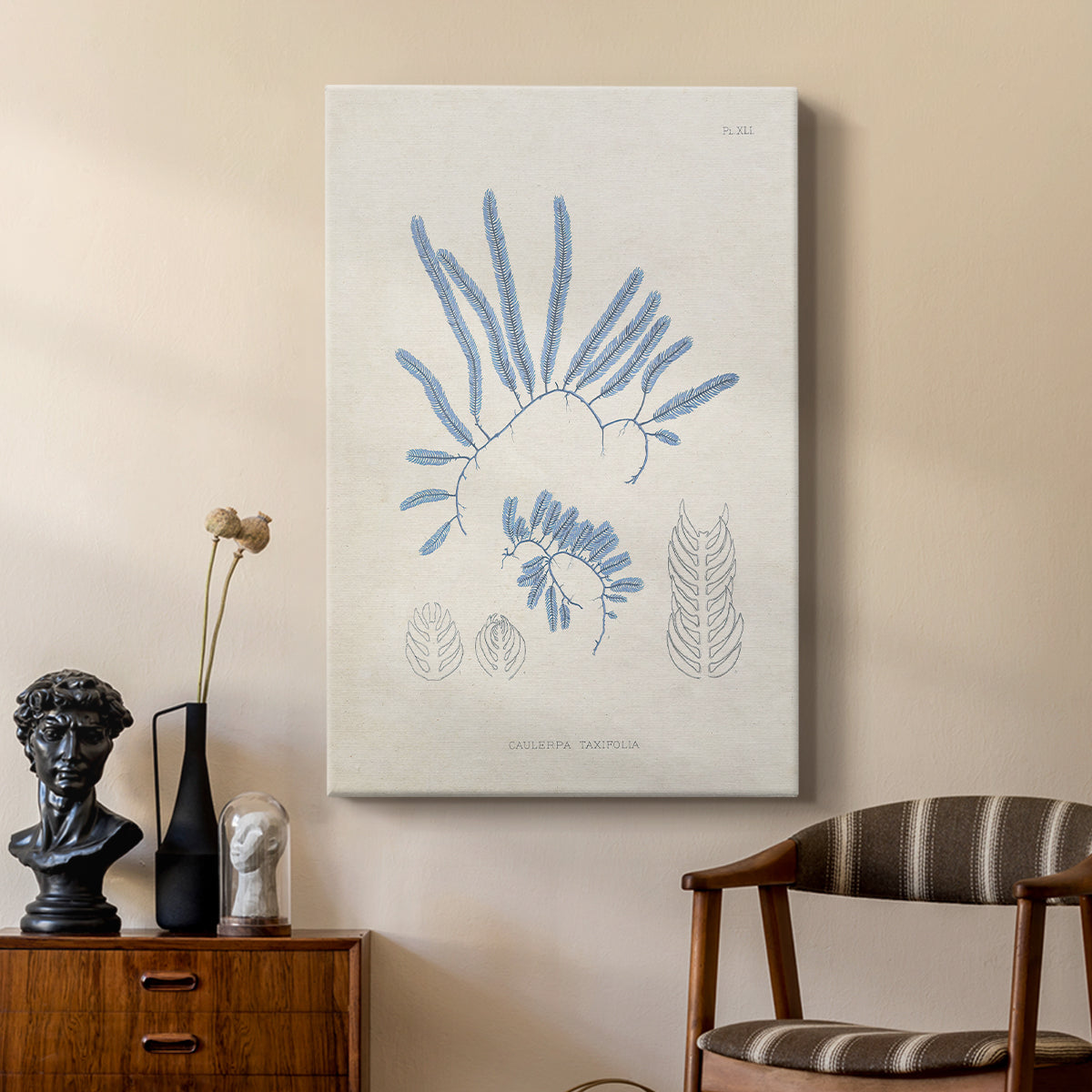 Blue Marine Algae II - Canvas Art Print