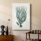 Antique Coastal Coral VIII - Canvas Art Print