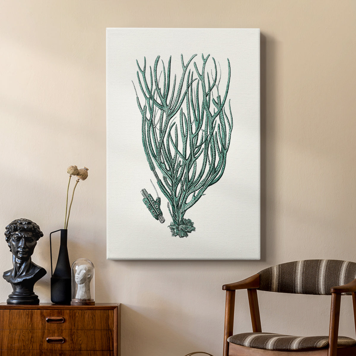 Antique Coastal Coral VIII - Canvas Art Print
