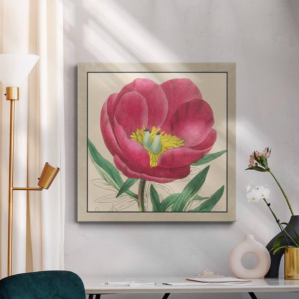 Peony Collection I - Canvas Art Print