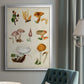 Mushroom Species VI - Modern Framed Canvas Print