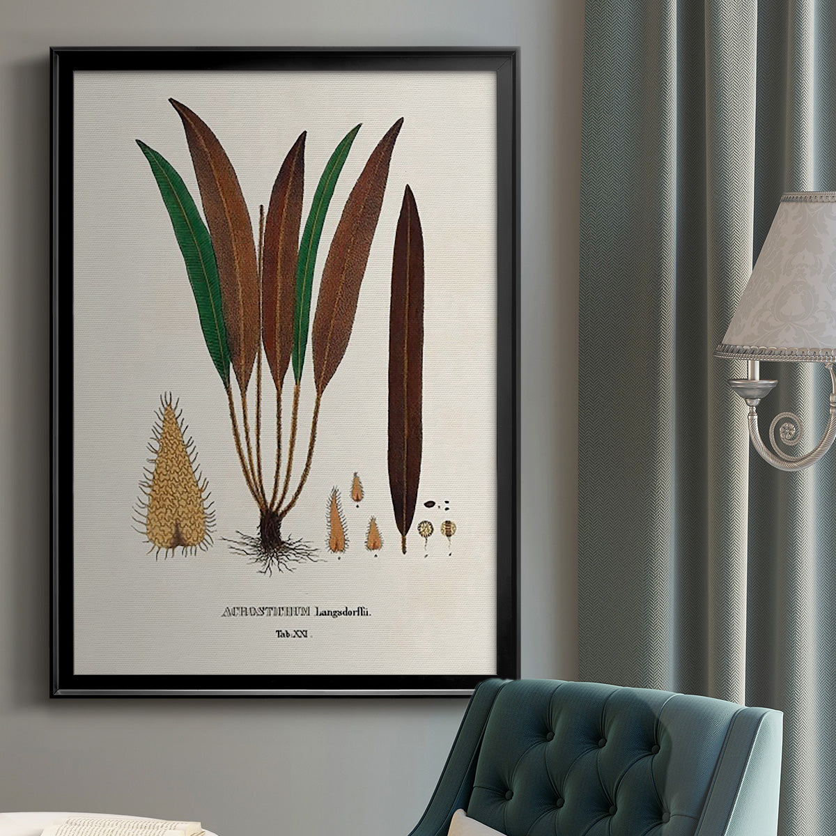 Botanical Society Ferns I - Modern Framed Canvas Print