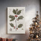 Silver Promise of Nativity - Canvas Art Print