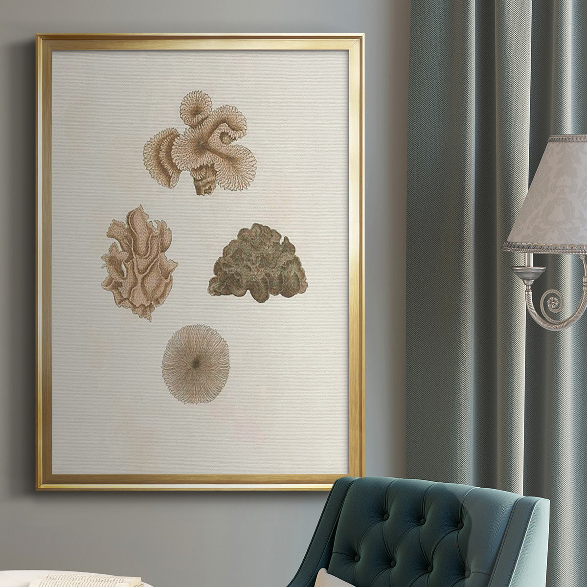 Knorr Shells & Coral VIII - Modern Framed Canvas Print