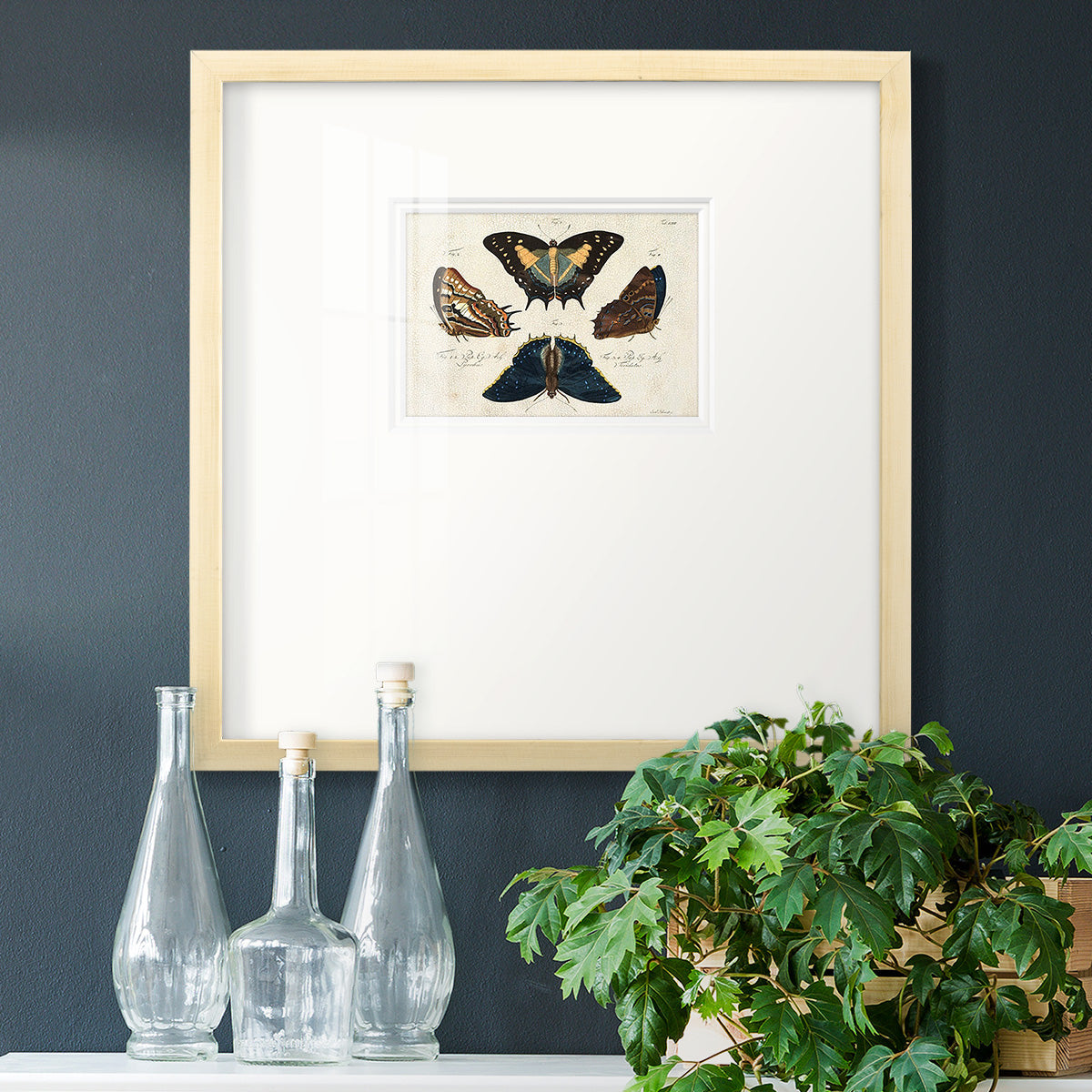 Crackled Butterflies IV Premium Framed Print Double Matboard