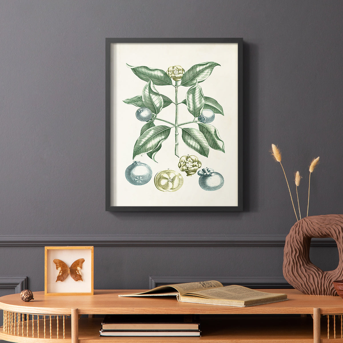 Buchoz Tropicals VII - Restickable Framed Art Print