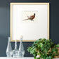 Pheasant Splash 2 Premium Framed Print Double Matboard