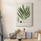 Collected Ferns III Premium Gallery Wrapped Canvas - Ready to Hang