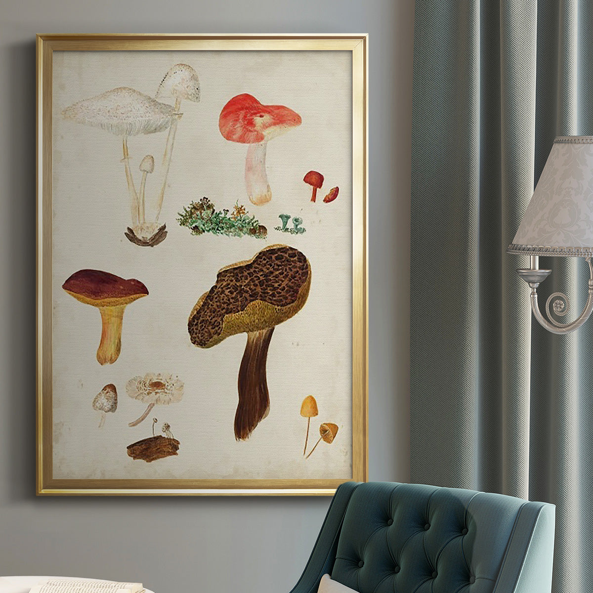 Mushroom Species XI - Modern Framed Canvas Print