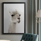 Soft Llama - Modern Framed Canvas Print