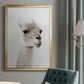 Soft Llama - Modern Framed Canvas Print