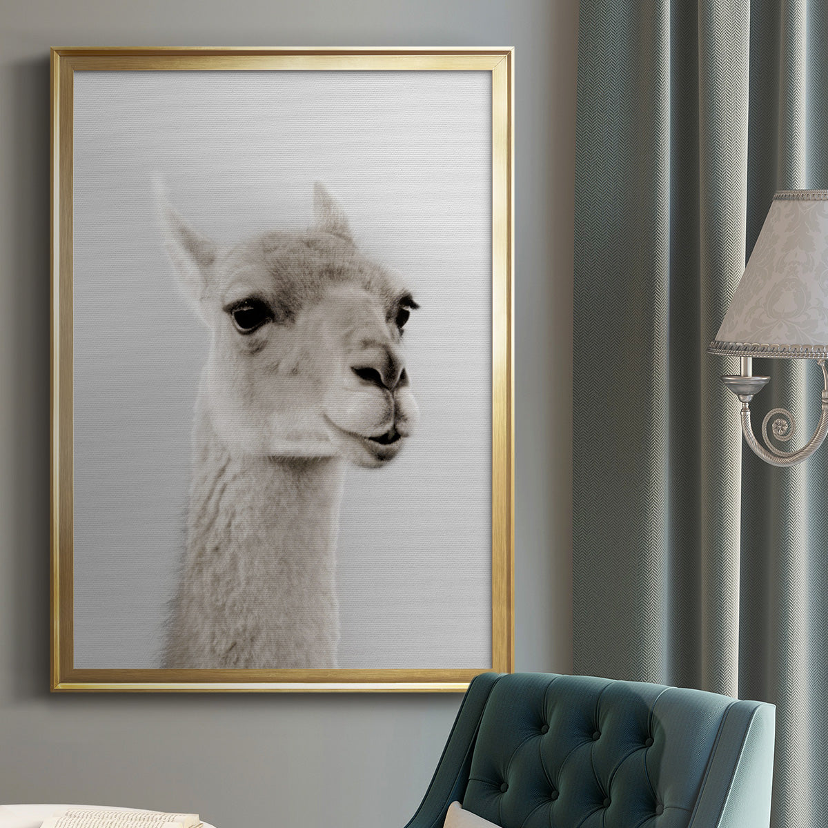 Soft Llama - Modern Framed Canvas Print