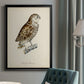 French Owls I - Modern Framed Canvas Print