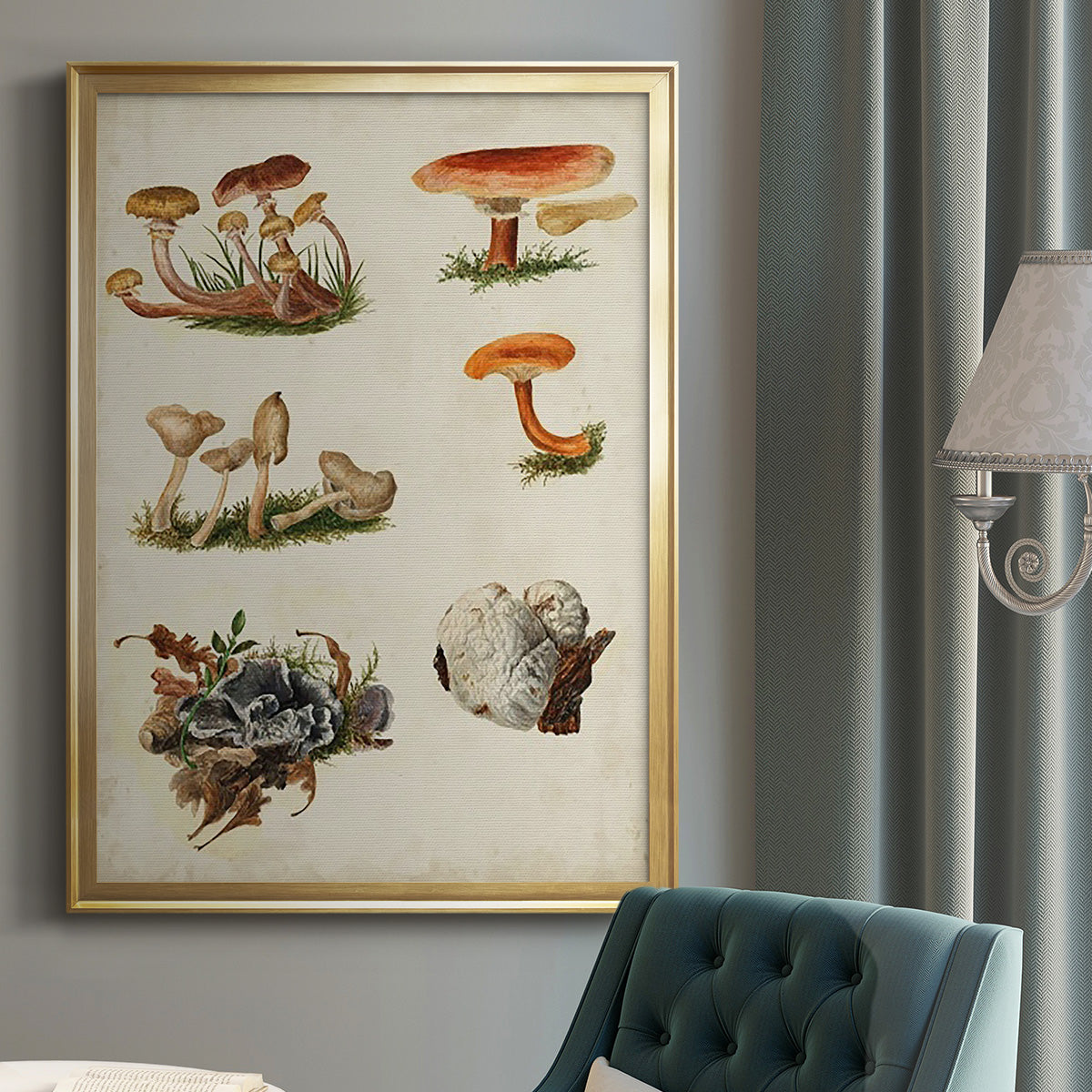 Mushroom Species X - Modern Framed Canvas Print