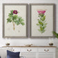 Set of two gray barnwood framed canvas prints depicting a coordinated art pair of pink flowering plant specimens rendered as vintage botanical plate illustrations above a dining room sideboard.