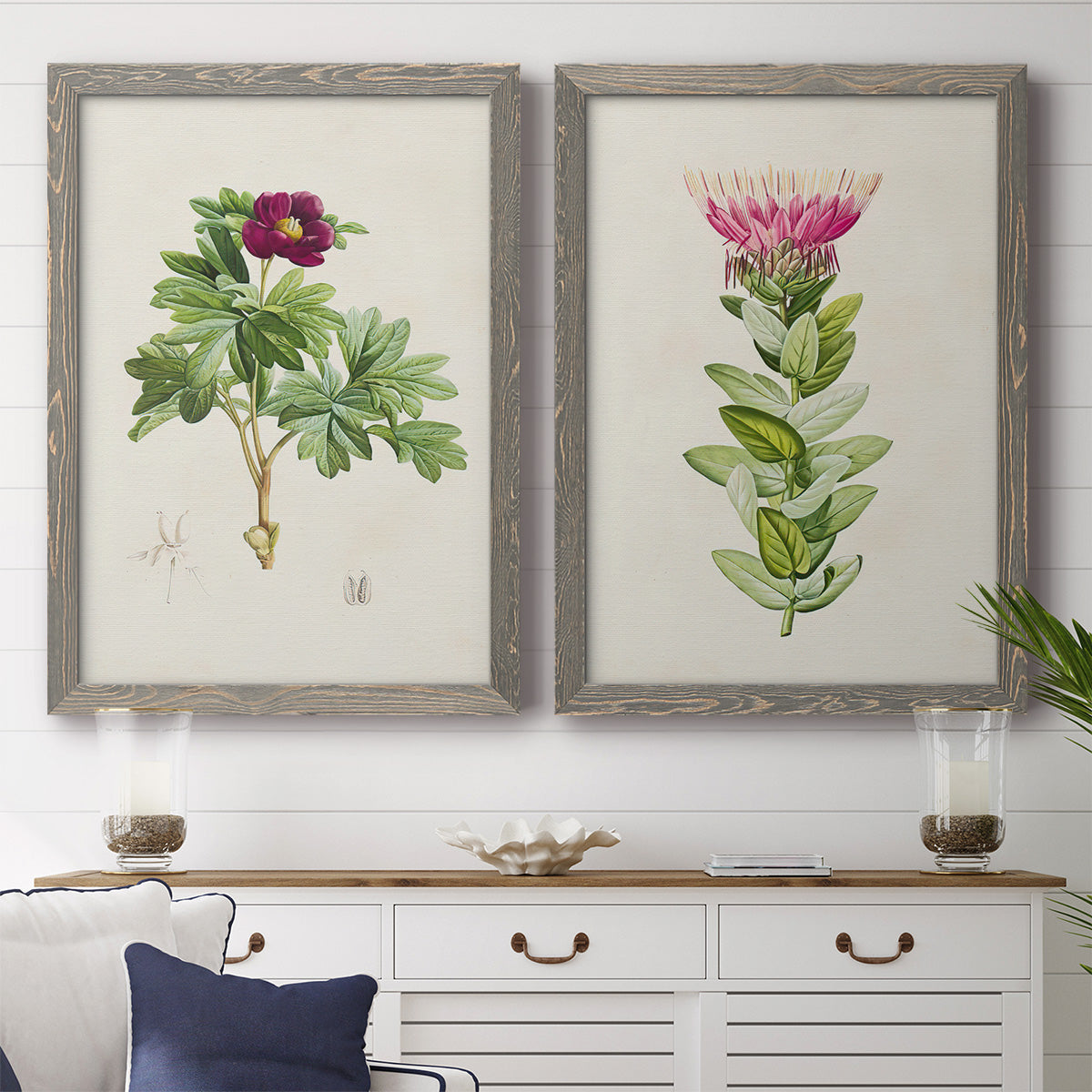 Set of two gray barnwood framed canvas prints depicting a coordinated art pair of pink flowering plant specimens rendered as vintage botanical plate illustrations above a dining room sideboard.