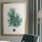 Antique Coastal Coral V - Modern Framed Canvas Print