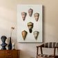 Cone Shell Collection IV - Canvas Art Print
