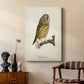 French Owls II - Canvas Art Print
